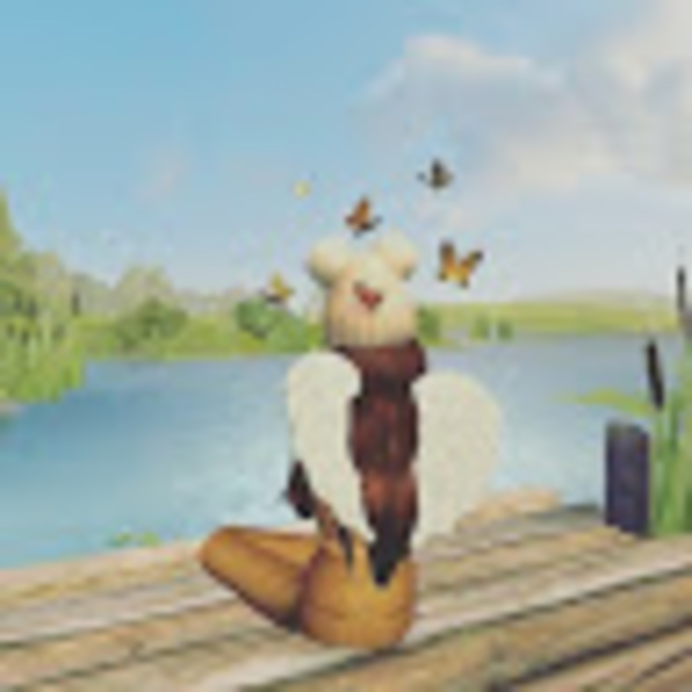 Meet your Posher, Avakinculture